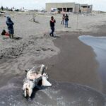 107b08f681634324924d0204fa427c04