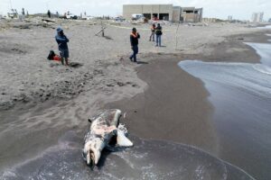 107b08f681634324924d0204fa427c04