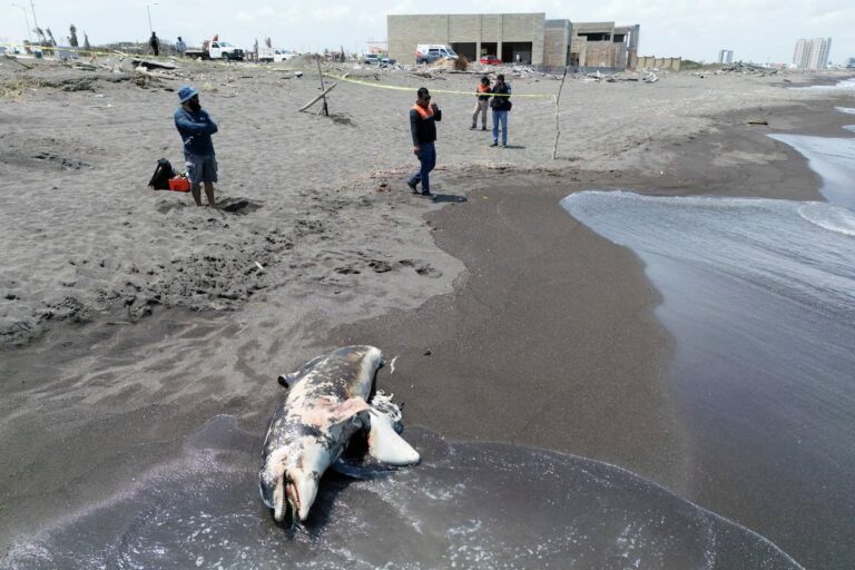 107b08f681634324924d0204fa427c04