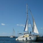 11dc96e21bf2456d996db68dc63edb45