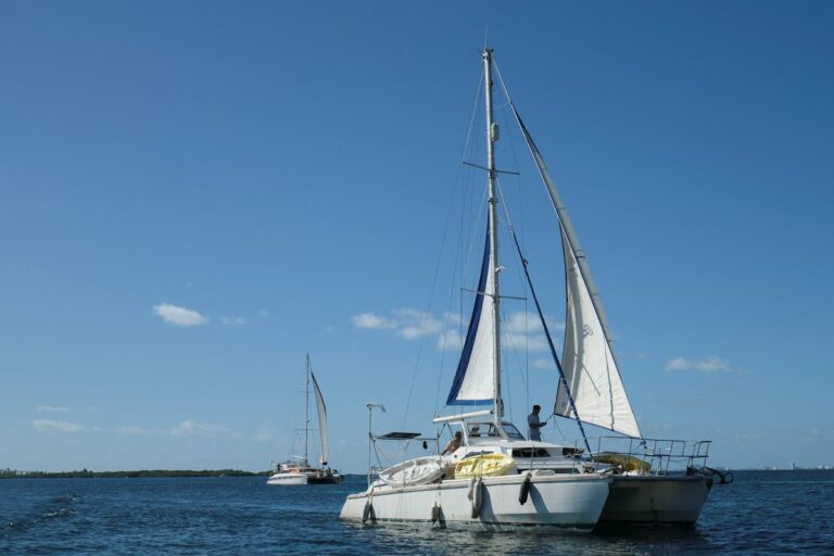 11dc96e21bf2456d996db68dc63edb45