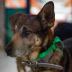 14ecb526d1c84753869e5728df79d927