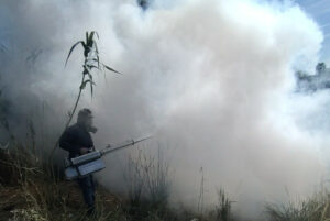 2fb2ee95909b44d3af16f533dc090602