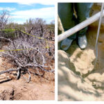 7784059284c54eb98ce476aa77d36693