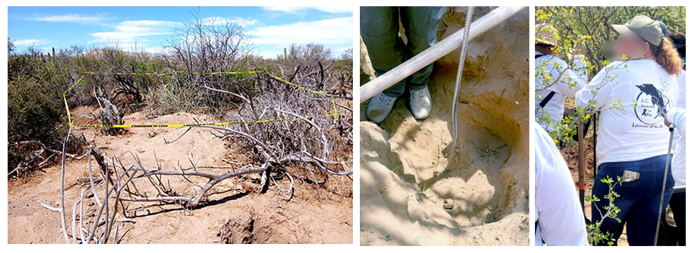 7784059284c54eb98ce476aa77d36693