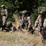 7b5fbfe037b349f4bdcf8fee14cdb296