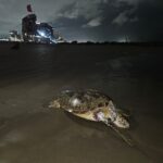 dfb875d39ae841fcaa57af1bf7ad820e