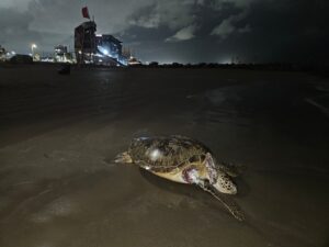 dfb875d39ae841fcaa57af1bf7ad820e