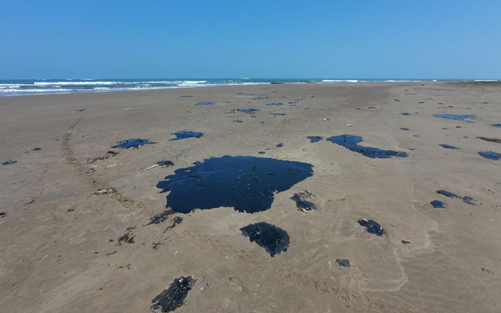 ef5529acdf0a4bdda4e48cbf1decb504