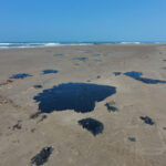 ef5529acdf0a4bdda4e48cbf1decb504