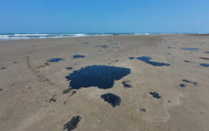 ef5529acdf0a4bdda4e48cbf1decb504