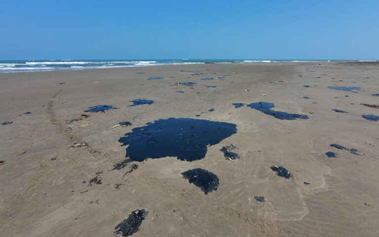 ef5529acdf0a4bdda4e48cbf1decb504