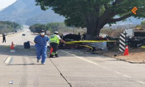 fef1b010dff347c19b2f7ccb809f7b8d