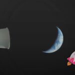 0e79649794cc43e39514dd42564370f2