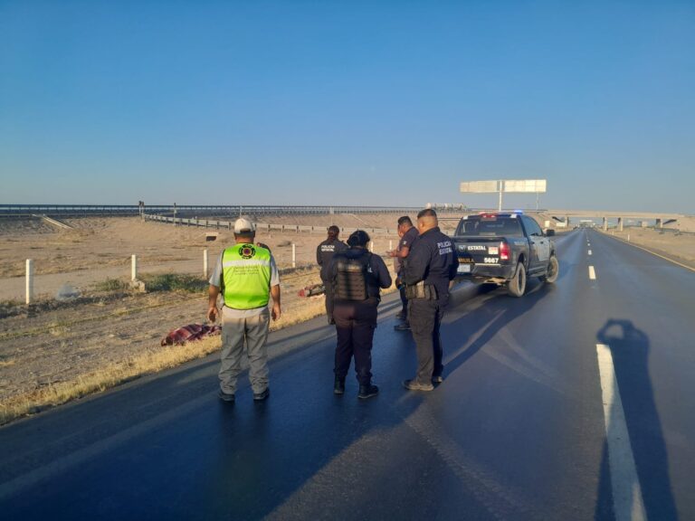 150aa2b841894332aca0ad9874626837