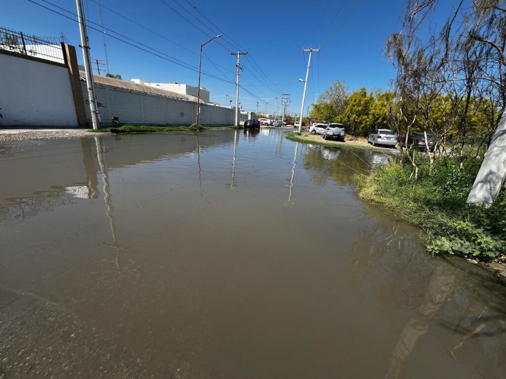 17542dfe0a07425f80ebd795b4e9f172