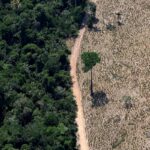 186db0218d2440449104808dd3336a27