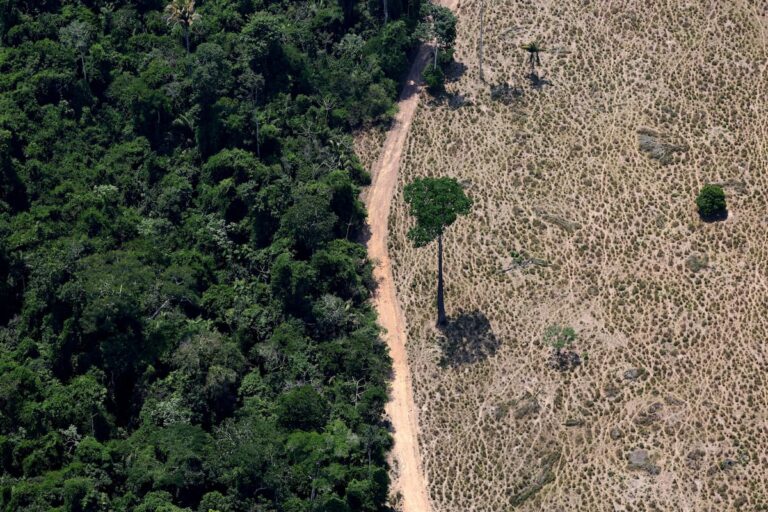 186db0218d2440449104808dd3336a27