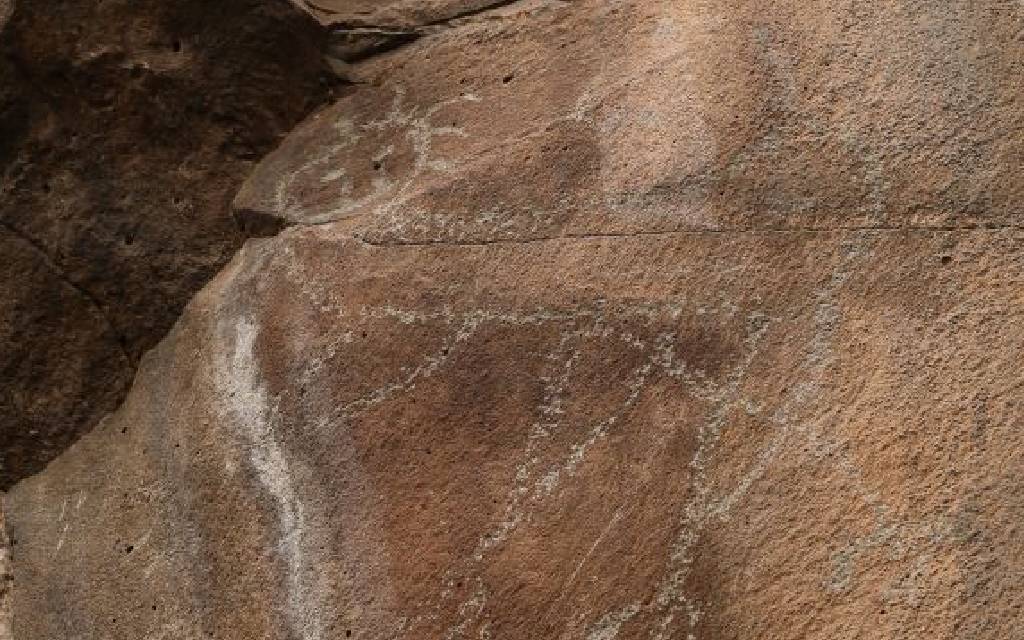 29f71829a577438383272d49cdcca35c