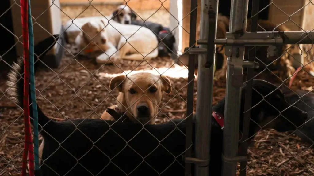 35121af1f75a452fa7896f7403fb7513