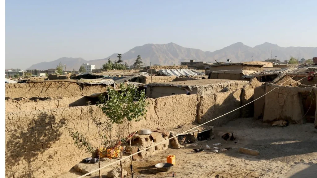 3bbbf0d442f947c8ab126a79af6672fd