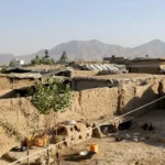 3bbbf0d442f947c8ab126a79af6672fd