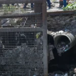 3e77e57650894e4e8ac9d93eaed24370