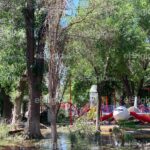 6c284ed3e6194db2a79c9248cd42a14a