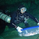 718bea192a2443deb5e9a68b6a436445