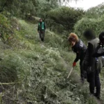 857e78dcb40e496bb2c42721312c4e4c