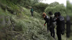 857e78dcb40e496bb2c42721312c4e4c