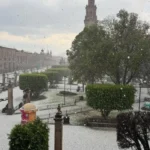 8a66820272624a119d66059b20dc32d3