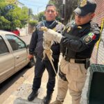 93e5eb67841142879e31555f330a3a4b