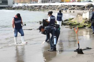 94351922591a4b82945429738a35be73