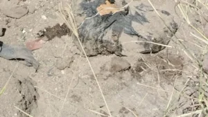 96b727cfb5e0430eb3f5a7ec4a35c788