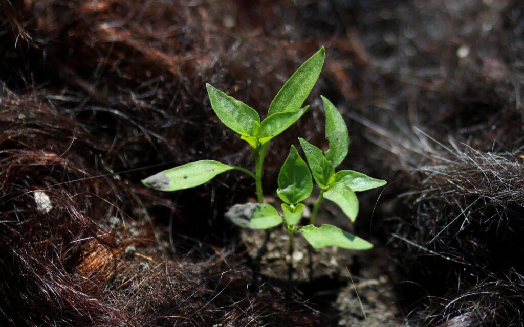 9aa6477a45f04a15bd91cafd57e7702b