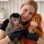 9c90c565f18f448e9cb8108e40924e56