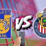 af13be62681b4ca480beb31b3955ef15