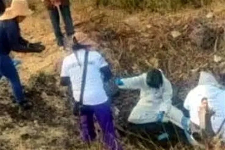 c42e0959f74e4cefaa02d7a8c52fb62a