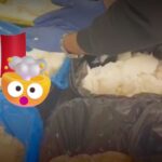 cc544f53cc28498fb689efe98fcd09ed