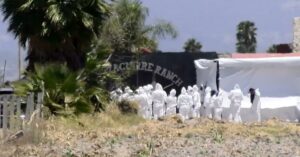 d2bd434efa5e4ceda64eecff9bd04eec