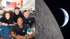 df2b97b6e8af4a788c5aaefd484d8c56