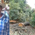 e85ed17a7f6b41f69c9faf6d6fc3cd80