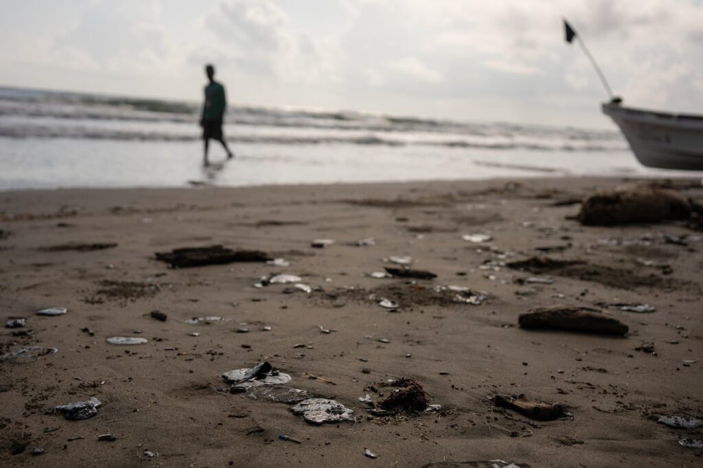 3a36fa0a8fda4a1b9625df21e3b32b89